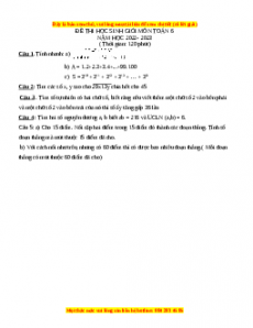 Đề chọn HSG môn Toán 6 năm 2022 - 2023 có đáp án ( Đề 3 )