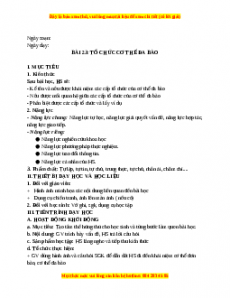 Giáo án Bài 23 KHTN 6 Kết nối tri thức (2024): Tổ chức cơ thể đa bào