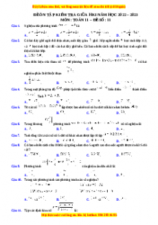 Đề thi giữa kì 1 Toán 11 năm 2022 - 2023 - Đề 11