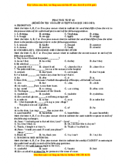 Đề luyện thi vào 10 môn Tiếng anh năm 2023 có đáp án (Đề 40)