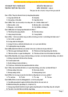 Đề thi học kì 1 Sinh học 11 trường THPT Bùi Thị Xuân - Thừa Thiên Huế
