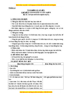 Giáo án Tự nhiên và xã hội 3 Cánh diều Bài 16: Cơ quan tuần hoàn