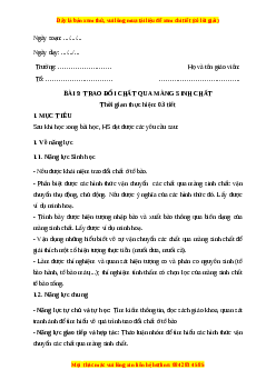 Giáo án Bài 9: Trao đổi chất qua màng sinh chất Sinh học 10 Cánh diều