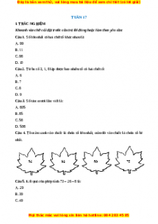 Bài tập cuối tuần Toán lớp 2 Tuần 17 Chân trời sáng tạo (có lời giải)