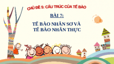 Giáo án Powerpoint Bài 7: Sinh học 10 Cánh diều: Tế bào nhân sơ và tế bào nhân thực