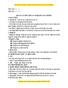 Giáo án Bài 20 KHTN 6 Kết nối tri thức (2024): Sự lớn lên và sinh sản của tế bào