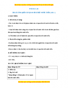 Giáo án Tìm hiểu cơ quan bài tiết nước tiểu Tự nhiên xã hội 2 Kết nối tri thức