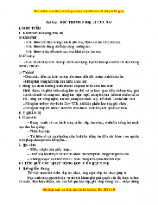 Giáo án Vật lí 12 Bài 11: Đặc trưng sinh lí