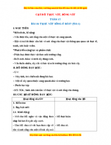 Giáo án Thực vật sống ở đâu? Tự nhiên xã hội 2 Kết nối tri thức