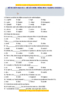 Đề thi giữa kì 2 Tiếng Anh 7 Global success năm 2022 - 2023 (Đề 5)