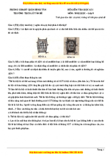 Đề thi học kì 1 Sinh học 9 năm 2023 trường THCS Lê Tân Bê - TP HCM