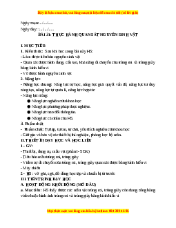 Giáo án Bài 31 KHTN 6 Kết nối tri thức (2024): Thực hành quan sát nguyên sinh vật