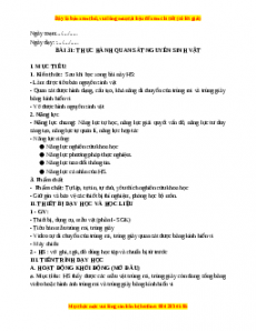 Giáo án Bài 31 KHTN 6 Kết nối tri thức (2024): Thực hành quan sát nguyên sinh vật