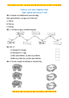 Bài tập cuối tuần Toán lớp 1 Tuần 31 Kết nối tri thức (có lời giải)