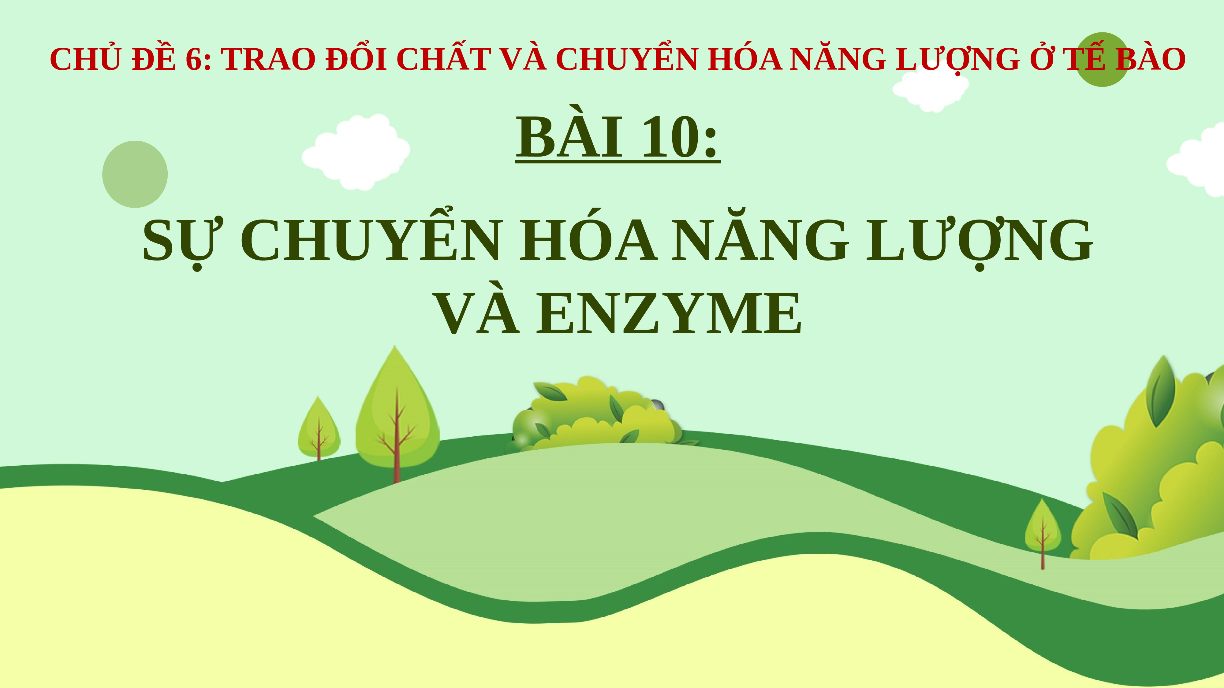 Giáo án Powerpoint Sự Chuyển Hóa Năng Lượng Và Enzyme Cánh Diều Sinh Học 10 0483