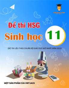 Bộ đề thi hsg Sinh học 11 năm 2023 - 2024 cực hay có đáp án