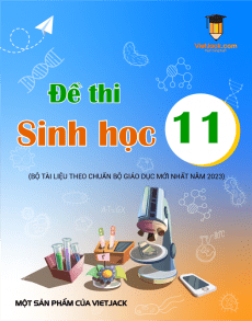 Bộ đề thi Sinh học 11 (cả năm) có đáp án