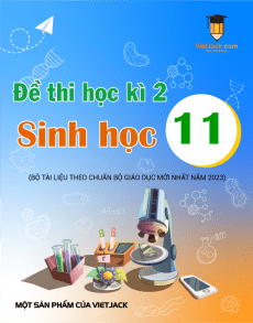Bộ đề thi Sinh học 11 học kì 2 có đáp án