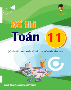 Đề thi Toán 11 (cả năm) có lời giải