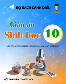 Giáo án Sinh học 10 Cánh diều | Giáo án Sinh học 10 mới chuẩn nhất
